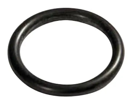 22MM OD EPDM O RING BLACK Parkair